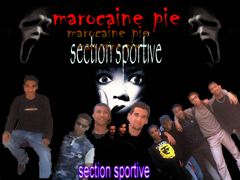 section sportive 15